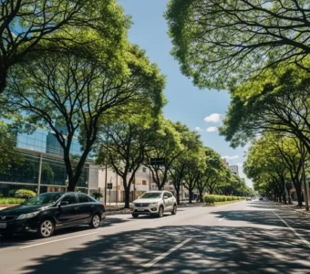 Qual é a distância entre Goiânia e Palmas?